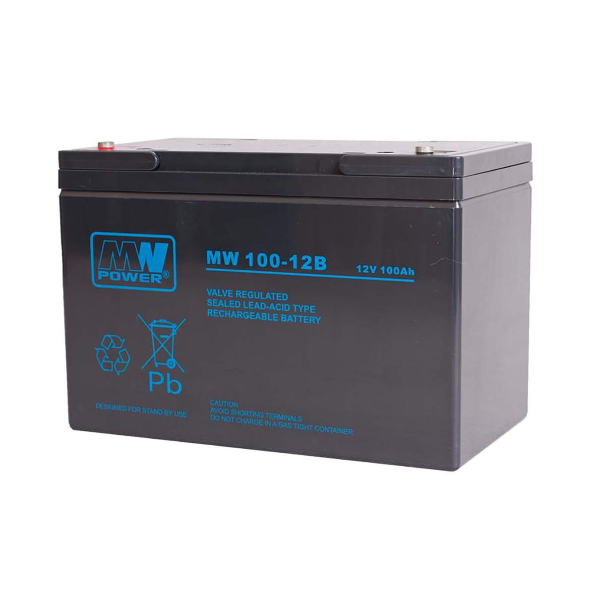 Akumulator AGM MW Power seria MW 100-12B 12V 100Ah