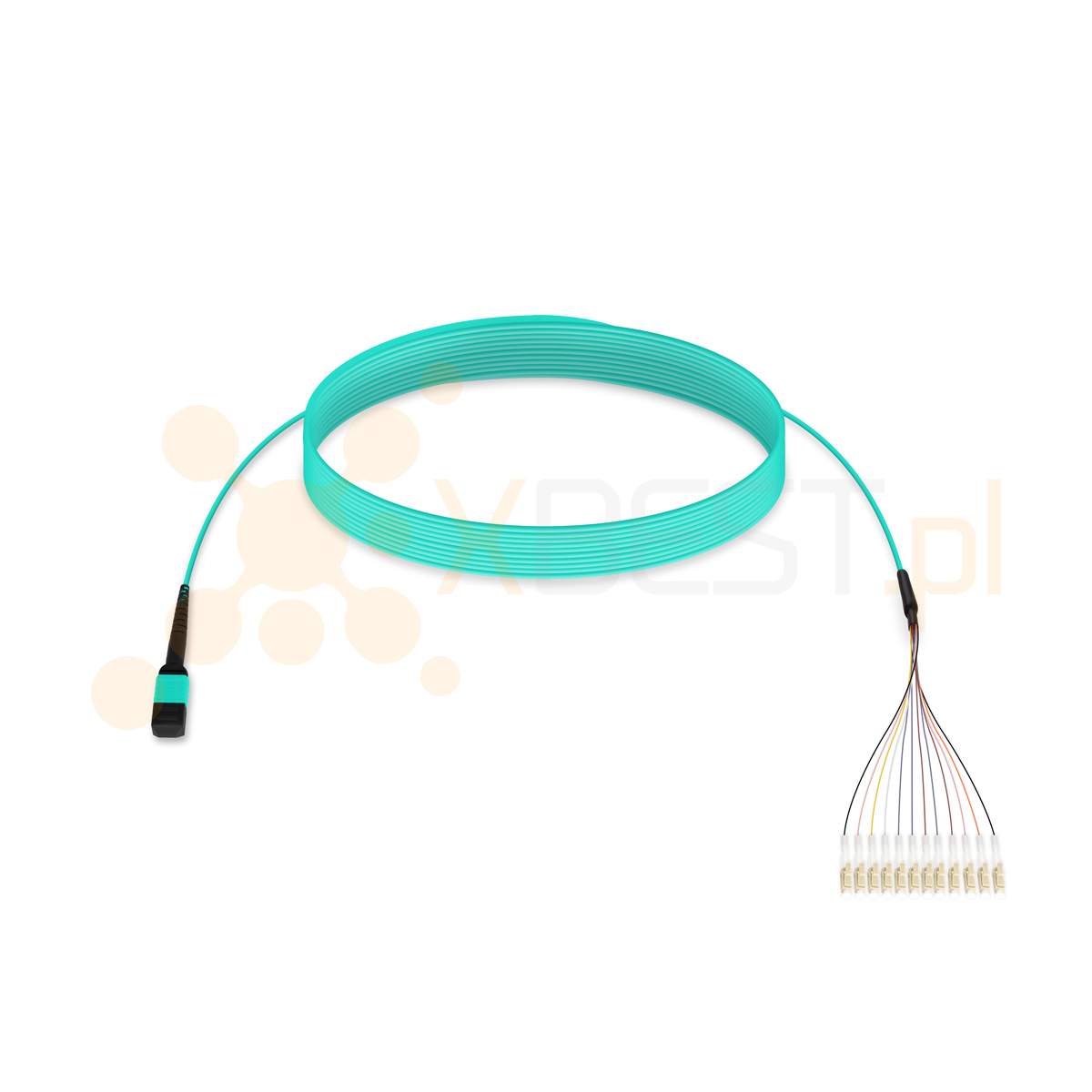 MultiPatchcord ConnLink SILVER 12x OM3 Typ B LC/UPC-MPO(F) 3M 3.0mm TURQUOISE LSZH