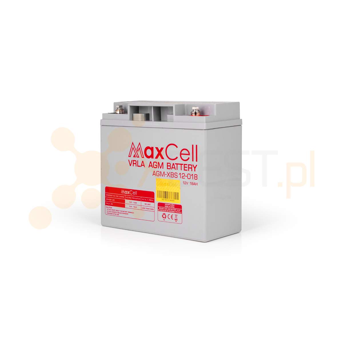 Akumulator AGM, XBL 12-55 (12V 55Ah M6/T16)