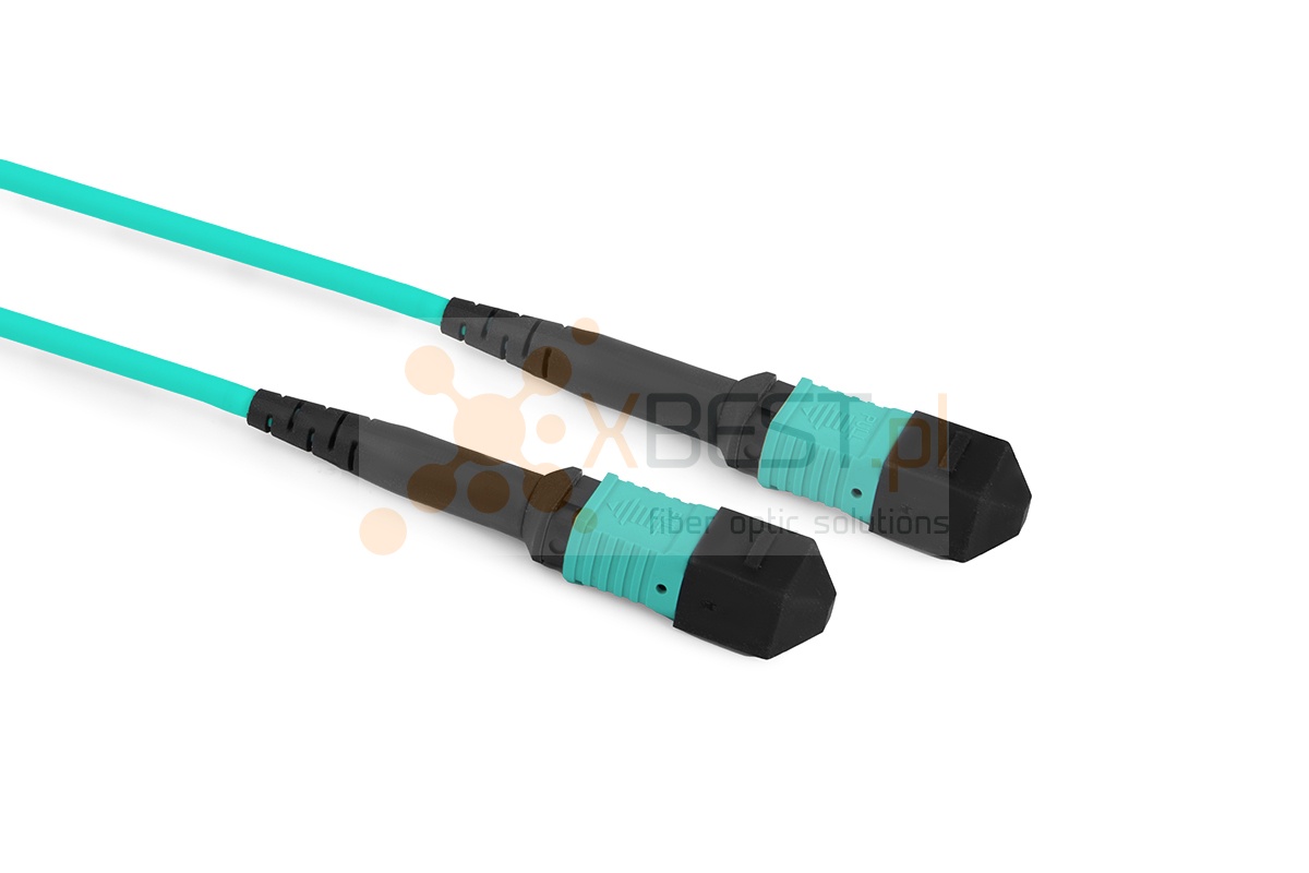 MultiPatchcord OPTO, 12x50/125 (OM3) Type B, MPO(F)-MPO(F), 30M