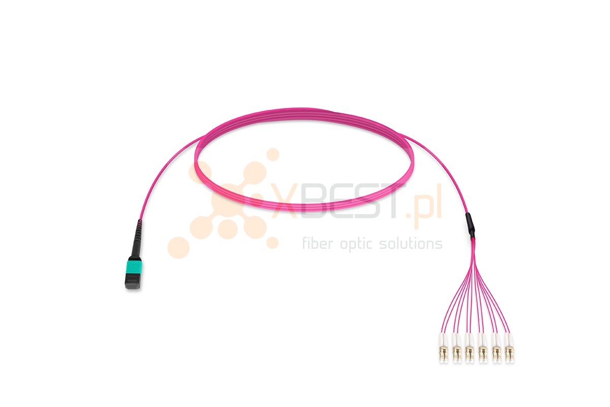 MultiPatchcord OPTO, 12x50/125 (OM4) Type B, LC/UPC-MPO(F), 3M