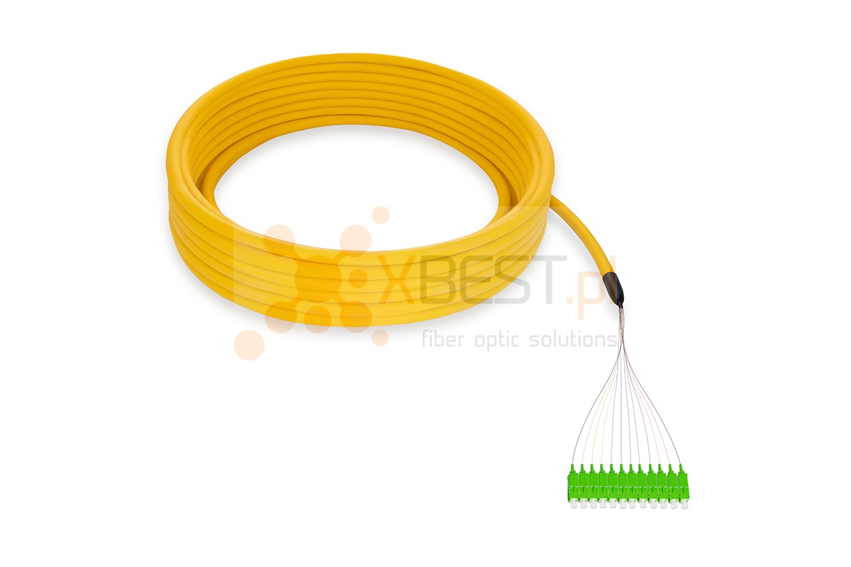 MultiPigtail ConnLink 12x9/125, 10xSC/APC (8˚), 3.0mm/250um, 20M